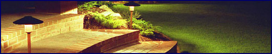 Garden Lighting Installations Sydney Northern Beaches